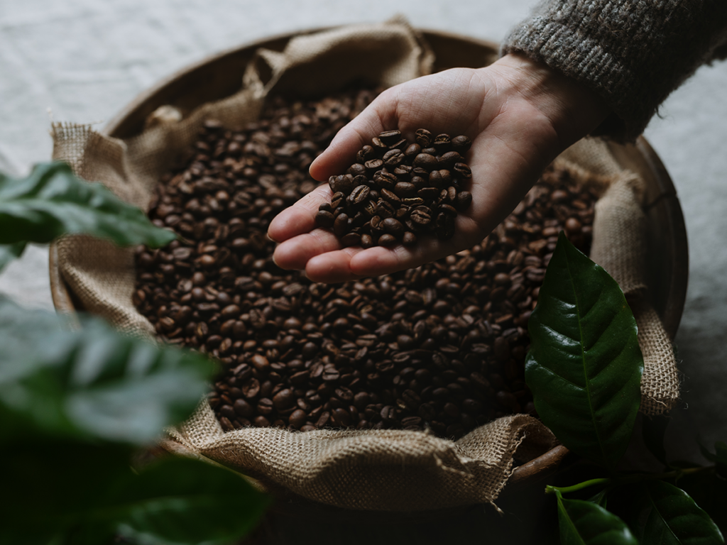 Kaffebönor från Arvid Nordquist